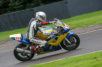 anglesey;brands-hatch;cadwell-park;croft;donington-park;enduro-digital-images;event-digital-images;eventdigitalimages;mallory;no-limits;oulton-park;peter-wileman-photography;racing-digital-images;silverstone;snetterton;trackday-digital-images;trackday-photos;vmcc-banbury-run;welsh-2-day-enduro